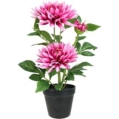 Flair Flower Konstgjord blomma, krysantemum, i kruka, 40 cm, konstgjorda växter, blommor, buske, konstgjord dekoration, dekorativ blomma, skördefest, höst, höst, dekoration, mittdel, sidenblommor, bordsdekoration Flair Flower Konstgjord blomma, krysantemum, i kruka, 40 cm, konstgjorda växter, blommor, buske, konstgjord dekoration, dekorativ blomma, skördefest, höst, höst, dekoration, mittdel, sidenblommor, bordsdekoration