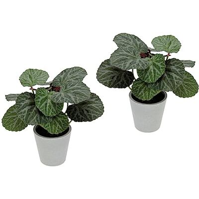 I.GE.A. konstgjord växt Begonia i kruka - Grön - Konstgjord växt I.GE.A. konstgjord växt Begonia i kruka - Grön - Konstgjord växt