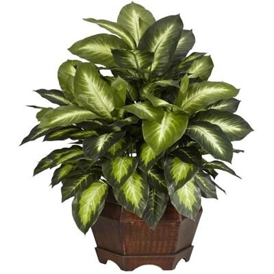 Nearly Natural Nästan naturlig 6639 61 cm. Golden Dieffenbachia sidenväxt, grön Nearly Natural Nästan naturlig 6639 61 cm. Golden Dieffenbachia sidenväxt, grön