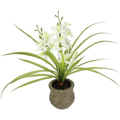 Flair Flower Konstgjord blomma fjärilsorkidé med ytterkruka av keramik 39 cm med blad och luftrötter konstgjord blomma konst orkidé phalaenopsis konstgjord växt bröllop dekoration sidenblomma äkta touch blomma, Flair Flower Konstgjord blomma fjärilsorkidé med ytterkruka av keramik 39 cm med blad och luftrötter konstgjord blomma konst orkidé phalaenopsis konstgjord växt bröllop dekoration sidenblomma äkta touch blomma,