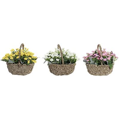 DKD Home Decor Dekorativ Växt Varumärke DKD Hem Gul Vit Rosa Plast Tyg (3 delar) (Referens: S3020041) DKD Home Decor Dekorativ Växt Varumärke DKD Hem Gul Vit Rosa Plast Tyg (3 delar) (Referens: S3020041)