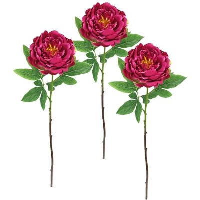 Flair Flower konstgjord blomma peoni bondros pionar gren enkel blomma stjälkblomma blommablommor växt för konstgjorda blommor buketter och buketter dekorativ blomma, set om 3, mörkrosa Flair Flower konstgjord blomma peoni bondros pionar gren enkel blomma stjälkblomma blommablommor växt för konstgjorda blommor buketter och buketter dekorativ blomma, set om 3, mörkrosa