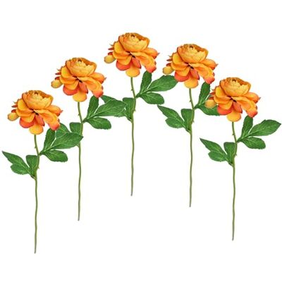 Flair Flower Konstgjorda blommor ranunkel set om 5 st 35 cm konstgjord som riktiga ranunkel blommor dekorationer blomdekoration vårblomma vårblommor påskdekoration silkesblommor enstaka blommor stjälkblommor Flair Flower Konstgjorda blommor ranunkel set om 5 st 35 cm konstgjord som riktiga ranunkel blommor dekorationer blomdekoration vårblomma vårblommor påskdekoration silkesblommor enstaka blommor stjälkblommor