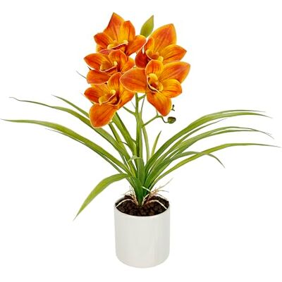 Flair Flower Flair Blomma konstgjord orkidé 40 cm i kruka konst orkidé blomma konstgjorda blommor konst orkidé konst orkidé phalaenopsis konstgjord växt som äkta bröllop dekoration sidenblomma verklig touch blomma Flair Flower Flair Blomma konstgjord orkidé 40 cm i kruka konst orkidé blomma konstgjorda blommor konst orkidé konst orkidé phalaenopsis konstgjord växt som äkta bröllop dekoration sidenblomma verklig touch blomma