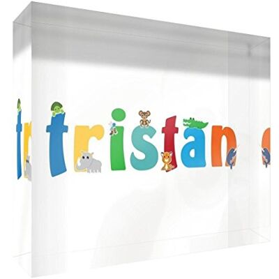 Little Helper påminnelse dekor akryl transparent polerad som diamant stil illustrativ färgglad med namnet de jeune pojkar Tristan 15 x 21 x 2 cm stor Little Helper påminnelse dekor akryl transparent polerad som diamant stil illustrativ färgglad med namnet de jeune pojkar Tristan 15 x 21 x 2 cm stor