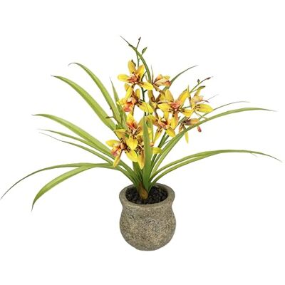 Flair Flower Konstgjord blomma fjärilsorkidé med ytterkruka av keramik 39 cm med blad och luftrötter konstgjord blomma konst orkidé phalaenopsis konstgjord växt bröllop dekoration sidenblomma verklig touch blomma, Flair Flower Konstgjord blomma fjärilsorkidé med ytterkruka av keramik 39 cm med blad och luftrötter konstgjord blomma konst orkidé phalaenopsis konstgjord växt bröllop dekoration sidenblomma verklig touch blomma,