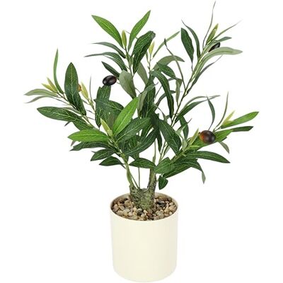 Flair Flower Olivträd med svarta oliver i kruka, konstgjord 46 cm, liten konstgjord växt, oljeträd, konstträd, dekorativt träd, olivväxt, huvudlans, inomhusväxt, sydländska växter, dekoration för vardagsrum Flair Flower Olivträd med svarta oliver i kruka, konstgjord 46 cm, liten konstgjord växt, oljeträd, konstträd, dekorativt träd, olivväxt, huvudlans, inomhusväxt, sydländska växter, dekoration för vardagsrum