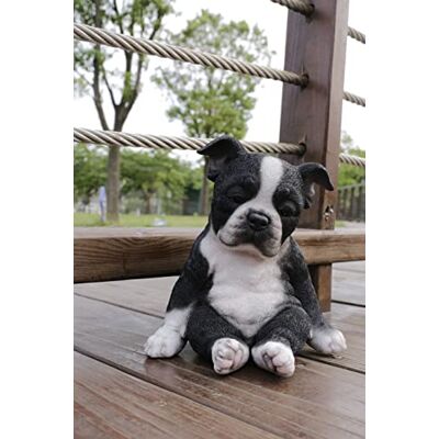 HI-LINE HiLine Gift Ltd. Bostonterrier sittande sömnig staty HI-LINE HiLine Gift Ltd. Bostonterrier sittande sömnig staty
