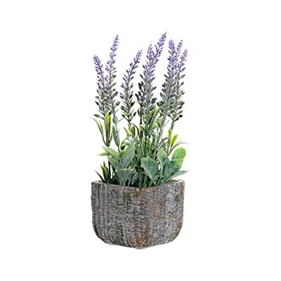 DKD Home Decor Kruka, Standard DKD Home Decor Kruka, Standard