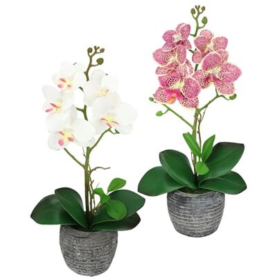 Flair Flower Konstgjord blomma fjärilsorkidé med blad och luftrötter i kruka konstgjord blomma konst orkidé phalaenopsis ytterkruka konstgjord växt bröllop dekoration sidenblomma verklig touch blomma, set om 2, Flair Flower Konstgjord blomma fjärilsorkidé med blad och luftrötter i kruka konstgjord blomma konst orkidé phalaenopsis ytterkruka konstgjord växt bröllop dekoration sidenblomma verklig touch blomma, set om 2,