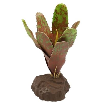 Lucky Reptile Scape it Easy – Bromelie Neoregelia grön ca 20 cm – bottenbotten för terrarier Lucky Reptile Scape it Easy – Bromelie Neoregelia grön ca 20 cm – bottenbotten för terrarier