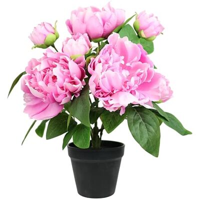 Flair Flower Konstgjord peonbuske i kruka, 40 cm, pionbuske, pion, bondgårdsros, peoni, rosenbusk, konstpion, tidig blomma, krukväxter, dekorativa blommor, konstgjorda blommor, sidenblommor, dekoration, bröllop Flair Flower Konstgjord peonbuske i kruka, 40 cm, pionbuske, pion, bondgårdsros, peoni, rosenbusk, konstpion, tidig blomma, krukväxter, dekorativa blommor, konstgjorda blommor, sidenblommor, dekoration, bröllop