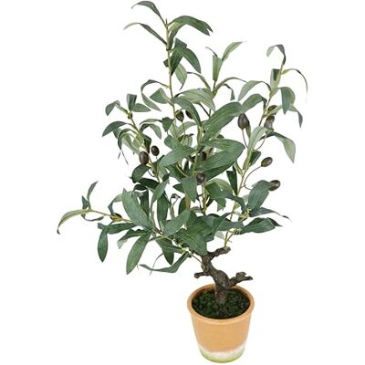 Flair Flower Konstgjort olivträd med svarta frukter 57 cm, oliv medelhav, konstgjord växt, oljeträd, grön växt, konstträd, dekorativt träd, fällfällfällande växt, Toscana krukväxt, sydländsk dekoration, 57 cm Flair Flower Konstgjort olivträd med svarta frukter 57 cm, oliv medelhav, konstgjord växt, oljeträd, grön växt, konstträd, dekorativt träd, fällfällfällande växt, Toscana krukväxt, sydländsk dekoration, 57 cm