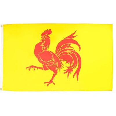 AZ FLAG Flagga Vallonien 90x60 cm Banér Vallonsk 100D Polyester 2 Öljetter Inom- och utomhusbruk dekorativ flagga dubbelsydda sömmar och förstärkta kanter med metallöljetter AZ FLAG Flagga Vallonien 90x60 cm Banér Vallonsk 100D Polyester 2 Öljetter Inom- och utomhusbruk dekorativ flagga dubbelsydda sömmar och förstärkta kanter med metallöljetter