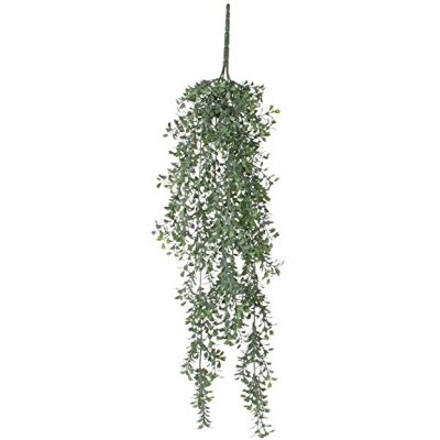 MICA decorations bukträd hängande grön – L 74 cm konstgjord växt, plast, grön, 74 x 18 x 18 cm MICA decorations bukträd hängande grön – L 74 cm konstgjord växt, plast, grön, 74 x 18 x 18 cm