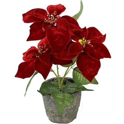 Flair Flower Konstgjord blomma Poinsettia med 3 blommor i kruka, julstjärna, juldekoration, julblomma, konstgjord blomma, jul, enkel blomma, gren, X'Mas bukett, gåva, dekoration, adventsstjärna Flair Flower Konstgjord blomma Poinsettia med 3 blommor i kruka, julstjärna, juldekoration, julblomma, konstgjord blomma, jul, enkel blomma, gren, X'Mas bukett, gåva, dekoration, adventsstjärna