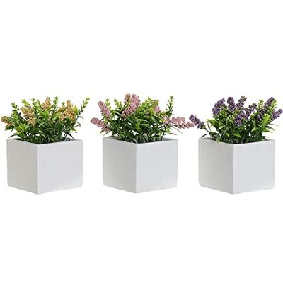 DKD Home Decor Dekorativ Växt DKD Hem Dekor Rosa Lila Cement Gul Polyeten (8.5 x 8,5 x 15 cm) (3 stycken) (Referens: S3020175) DKD Home Decor Dekorativ Växt DKD Hem Dekor Rosa Lila Cement Gul Polyeten (8.5 x 8,5 x 15 cm) (3 stycken) (Referens: S3020175)
