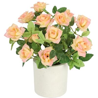 Flair Flower Vildrosor i kruka 32 cm dekoration, konstgjord blomma, rosor, konstgjorda blommor, konstgjord sidenblomma, bröllopsdekoration, bukett, bordsdekoration, dekorativ blomma, krukväxt, persika Flair Flower Vildrosor i kruka 32 cm dekoration, konstgjord blomma, rosor, konstgjorda blommor, konstgjord sidenblomma, bröllopsdekoration, bukett, bordsdekoration, dekorativ blomma, krukväxt, persika