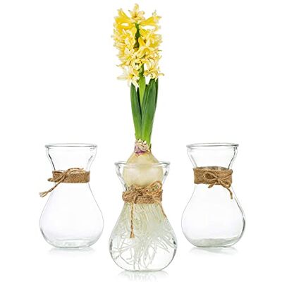 Glasseam Glas hyacint blomvaser 3 st/set vaser för bordsuppsatser, klar dekorativ vas med snöre, rep för hyacintblommor, ros, hem, bord Glasseam Glas hyacint blomvaser 3 st/set vaser för bordsuppsatser, klar dekorativ vas med snöre, rep för hyacintblommor, ros, hem, bord