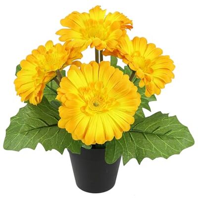 Flair Flower Konstgjord Gerbera i kruka 28 cm blomma dekoration dekorativ blomma desktop lans vår blomma konstgjord blomma växt växt tjusiga sidenblomma buske inomhusväxt Flair Flower Konstgjord Gerbera i kruka 28 cm blomma dekoration dekorativ blomma desktop lans vår blomma konstgjord blomma växt växt tjusiga sidenblomma buske inomhusväxt
