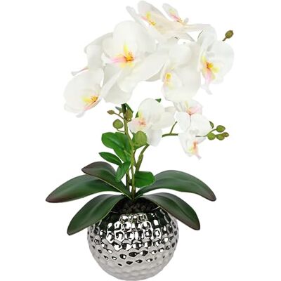 Flair Flower Konstgjord blomma fjäril orkidé 40 cm med blad i ytterkruka konstgjord blomma konst orkidé konstgjord phalaenopsis som äkta orkidé gren konstgjord växt bröllop dekoration sidenblomma, kräm Flair Flower Konstgjord blomma fjäril orkidé 40 cm med blad i ytterkruka konstgjord blomma konst orkidé konstgjord phalaenopsis som äkta orkidé gren konstgjord växt bröllop dekoration sidenblomma, kräm