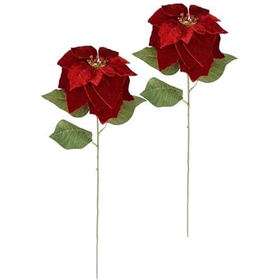 Flair Flower Konstgjord blomma Poinsettia av sammet 74 cm, uppsättning om 2, naturtrogen blomma, sidenblomma, gren, blom, konstgjord blomma, julstjärna, julblomma, jul, julblomma, juldekoration, adventsstjärna Flair Flower Konstgjord blomma Poinsettia av sammet 74 cm, uppsättning om 2, naturtrogen blomma, sidenblomma, gren, blom, konstgjord blomma, julstjärna, julblomma, jul, julblomma, juldekoration, adventsstjärna
