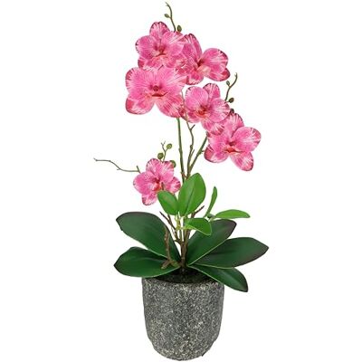 Flair Flower Konstgjord blomma fjärilsorkidé med blad och luftrötter i kruka av keramik konstgjord blomma konst orkidé Phalaenopsis med kruka syntetisk växt bröllop dekoration silke blomma verklig touch blomma Flair Flower Konstgjord blomma fjärilsorkidé med blad och luftrötter i kruka av keramik konstgjord blomma konst orkidé Phalaenopsis med kruka syntetisk växt bröllop dekoration silke blomma verklig touch blomma
