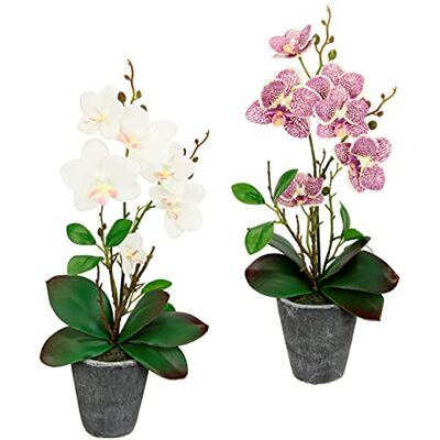 Flair Flower Konstgjord blomma fjärilsorkidé med blad och luftrötter i kruka av keramik konstgjord blomma konst orkidé Phalaenopsis med kruka syntetisk växt bröllop dekoration silke blomma verklig touch blomma Flair Flower Konstgjord blomma fjärilsorkidé med blad och luftrötter i kruka av keramik konstgjord blomma konst orkidé Phalaenopsis med kruka syntetisk växt bröllop dekoration silke blomma verklig touch blomma