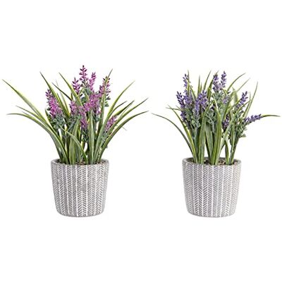 DKD Home Decor Dekorativa Växt, Standard DKD Home Decor Dekorativa Växt, Standard