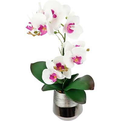 Flair Flower Konstgjord blomma phalaenopsis orkidé med blad i ytterkruka 42 cm konstgjord blomma konstorkidé konstgjord växt bröllop dekoration sidenblomma äkta touch blomma dekorativ konstgjord blomma med Flair Flower Konstgjord blomma phalaenopsis orkidé med blad i ytterkruka 42 cm konstgjord blomma konstorkidé konstgjord växt bröllop dekoration sidenblomma äkta touch blomma dekorativ konstgjord blomma med