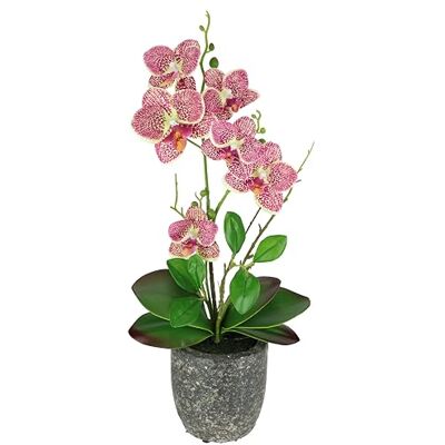 Flair Flower Konstgjord blomma fjärilsorkidé med blad och luftrötter i kruka av keramik konstgjord blomma konst orkidé Phalaenopsis med kruka syntetisk växt bröllop dekoration silke blomma verklig touch blomma Flair Flower Konstgjord blomma fjärilsorkidé med blad och luftrötter i kruka av keramik konstgjord blomma konst orkidé Phalaenopsis med kruka syntetisk växt bröllop dekoration silke blomma verklig touch blomma