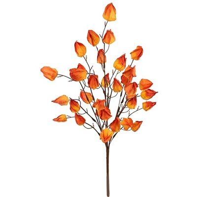 Flair Flower Physalis buske konstgjord 52 cm lampa höstblomma Physalis-gren höstdekoration konstgjord blomma höstblomma sidenblomma gren för vas halloween dekoration gren för kransar höstkransar Flair Flower Physalis buske konstgjord 52 cm lampa höstblomma Physalis-gren höstdekoration konstgjord blomma höstblomma sidenblomma gren för vas halloween dekoration gren för kransar höstkransar