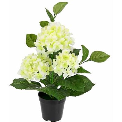 Flair Flower Flair Blomma konstgjord hortensia i kruka, konstgjorda blommor, blomma, hortensia, buske, konstgjord blomma, dekoration, terrassdekoration, krukväxt, bröllop, dekorativ blomma, vit Flair Flower Flair Blomma konstgjord hortensia i kruka, konstgjorda blommor, blomma, hortensia, buske, konstgjord blomma, dekoration, terrassdekoration, krukväxt, bröllop, dekorativ blomma, vit