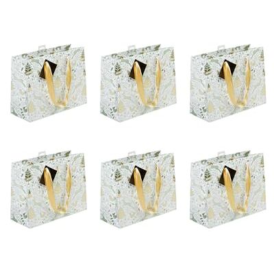 Clairefontaine 212894Cpack Un lot de 5 Sacs Cadeaux Premium Format shopping 32x13x24,5cm 170g Motif : Sapin, Cerf, Rennes, Or/Vert, Noël Idéal pour : Puzzles, Vêtements Clairefontaine 212894Cpack Un lot de 5 Sacs Cadeaux Premium Format shopping 32x13x24,5cm 170g Motif : Sapin, Cerf, Rennes, Or/Vert, Noël Idéal pour : Puzzles, Vêtements