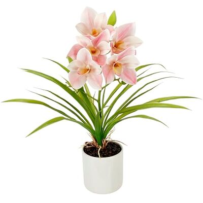 Flair Flower Konstgjord orkidé 40 cm i kruka konst orkidé blomma konstgjorda blommor konst orkidé konst orkidé konst orkidé phalaenopsis konstgjord växt som äkta bröllop dekoration sidenblomma verklig touch blomma Flair Flower Konstgjord orkidé 40 cm i kruka konst orkidé blomma konstgjorda blommor konst orkidé konst orkidé konst orkidé phalaenopsis konstgjord växt som äkta bröllop dekoration sidenblomma verklig touch blomma