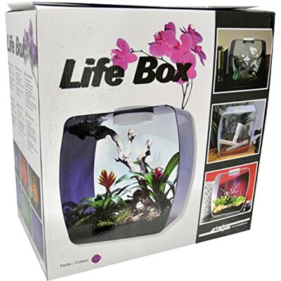 Lucky Reptile Life Box, nanoterrarium av akrylglas Lucky Reptile Life Box, nanoterrarium av akrylglas