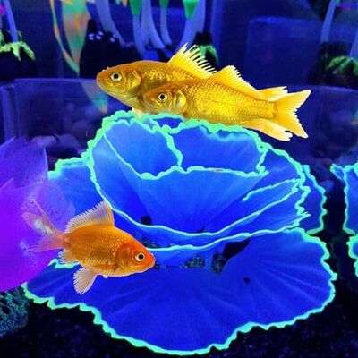 Besimple Konstgjord korall prydnad glödande effekt harts akvarieväxter korall akvarium akvarium akvarium dekorationer (blå) Besimple Konstgjord korall prydnad glödande effekt harts akvarieväxter korall akvarium akvarium akvarium dekorationer (blå)