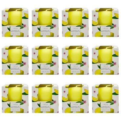 Cereria Di Giorgio Promo kit med 12 doftljus med citron i veganskt vax ficksäsong vår/sommar tillverkad i Italien Cereria Di Giorgio Promo kit med 12 doftljus med citron i veganskt vax ficksäsong vår/sommar tillverkad i Italien