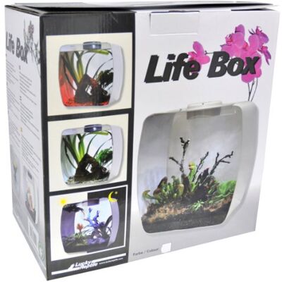 Lucky Reptile LB-35W Life Box 35 nanoterrarium av akrylglas, vit Lucky Reptile LB-35W Life Box 35 nanoterrarium av akrylglas, vit
