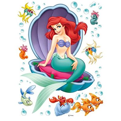 AG Design Disney Princess DK 1755, Film, flerfärgad, 42,5x65/16x25,5 tum AG Design Disney Princess DK 1755, Film, flerfärgad, 42,5x65/16x25,5 tum