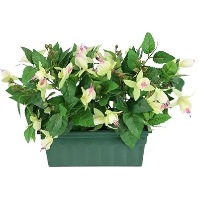 Flair Flower Konstgjord blomma fuchsior i låda 29 cm konstgjord prydnadsväxt konstgjord växt inomhusväxt blommor sidenblommor oäkta dekoration falska dubbla blad krukväxt hybrida hort flores Flair Flower Konstgjord blomma fuchsior i låda 29 cm konstgjord prydnadsväxt konstgjord växt inomhusväxt blommor sidenblommor oäkta dekoration falska dubbla blad krukväxt hybrida hort flores