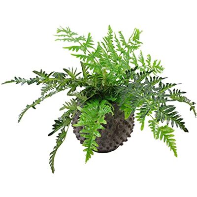 Leaf 50cm Lyxig Kunstig Eviggrön Farns Plant - Kunstig Växt Leaf 50cm Lyxig Kunstig Eviggrön Farns Plant - Kunstig Växt