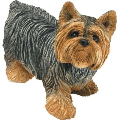 Sandicast Mellanstor Yorkshire Terrier skulptur – stående Sandicast Mellanstor Yorkshire Terrier skulptur – stående