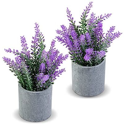 CADNLY Konstgjord lavendelväxt i krukor – konstgjord lavendel konstgjorda blommor – falska lavendelväxter krukväxt – modern bondgård blomdekor – lila lavendel dekor för badrum sovrum kök 2-pack CADNLY Konstgjord lavendelväxt i krukor – konstgjord lavendel konstgjorda blommor – falska lavendelväxter krukväxt – modern bondgård blomdekor – lila lavendel dekor för badrum sovrum kök 2-pack