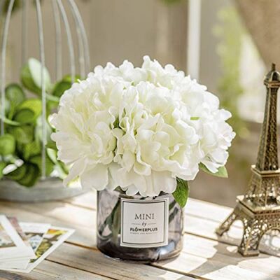 Moomass Artificial Hydrangea and Glass vase Decoration, Ins Style Artificial Flower Glass Bottle Set Moomass Artificial Hydrangea and Glass vase Decoration, Ins Style Artificial Flower Glass Bottle Set