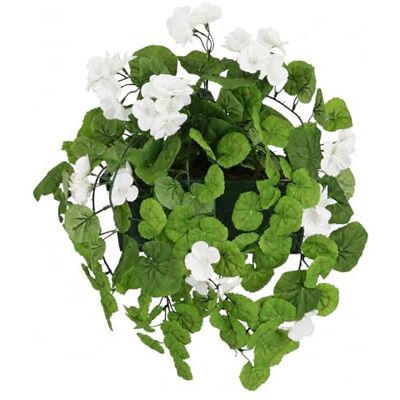Flair Flower Konstgjord växt "Geranium i låda" 38 cm balkongblomma balkongväxt balkong blombuske dekorativ blomma ökenros pelargonbuske krans hängande konstgjord blomma konstgjord växt ranka sidenblomma Flair Flower Konstgjord växt "Geranium i låda" 38 cm balkongblomma balkongväxt balkong blombuske dekorativ blomma ökenros pelargonbuske krans hängande konstgjord blomma konstgjord växt ranka sidenblomma