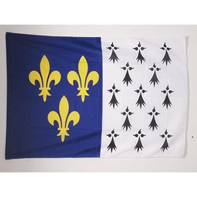 AZ FLAG Flagga Vendées vapen 90x60 cm 100D Polyester Stångficka Inom- och utomhusbruk dekorativ flagga dubbelsydda sömmar och förstärkta kanter AZ FLAG Flagga Vendées vapen 90x60 cm 100D Polyester Stångficka Inom- och utomhusbruk dekorativ flagga dubbelsydda sömmar och förstärkta kanter