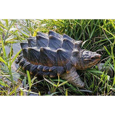 HI-LINE Gift Ltd. SNAPPANDE TURTLE STATY HI-LINE Gift Ltd. SNAPPANDE TURTLE STATY