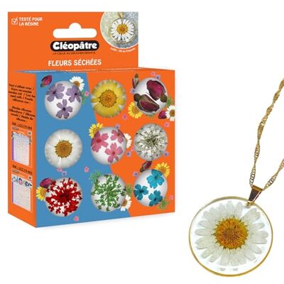 Cléopâtre Harts tillbehörssats, blandade färger, multi Cléopâtre Harts tillbehörssats, blandade färger, multi