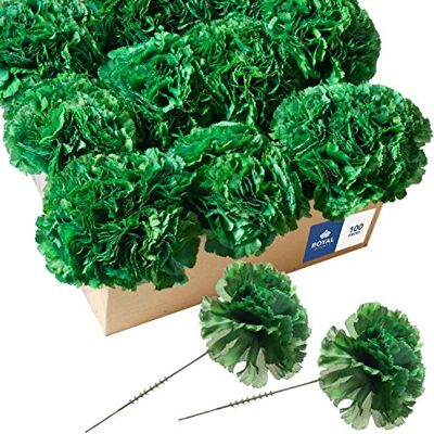 Royal Imports 100 gröna silkesnejlikor, konstgjord fuskblomma för buketter, bröllop, kyrkogård, hantverk och kransar, 12,7 cm stamplar (skrymmande) Royal Imports 100 gröna silkesnejlikor, konstgjord fuskblomma för buketter, bröllop, kyrkogård, hantverk och kransar, 12,7 cm stamplar (skrymmande)